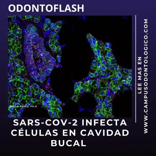 Microscopio de células infectadas por SARS-CoV-2 en cavidad bucal, análisis de infecciones virales orales, odontología y salud bucal, investigación coronavirus en boca.