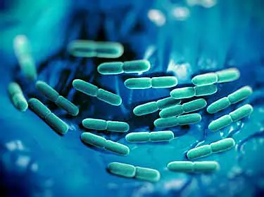 Bacterias en un fondo azul, representando microbiología dental y salud bucal avanzada en odontología.