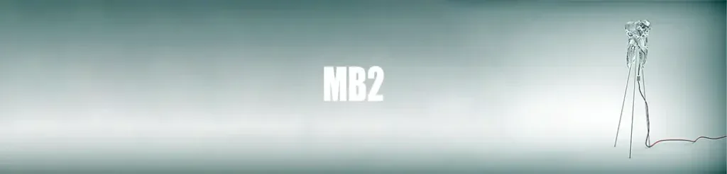 Imagen que muestra la localización del conducto radicular MB2, un aspecto clave en endodoncia, destacando su importancia en tratamientos de conducto radicular.