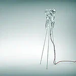 Imagen que muestra la localización del conducto radicular MB2, un aspecto clave en endodoncia, destacando su importancia en tratamientos de conducto radicular.